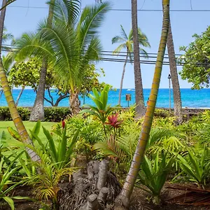  Apartment Spring Rates Book Now - Islander United States